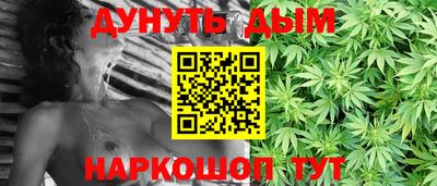 альфа пвп Новодвинск