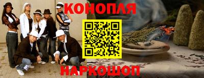 альфа пвп Новодвинск