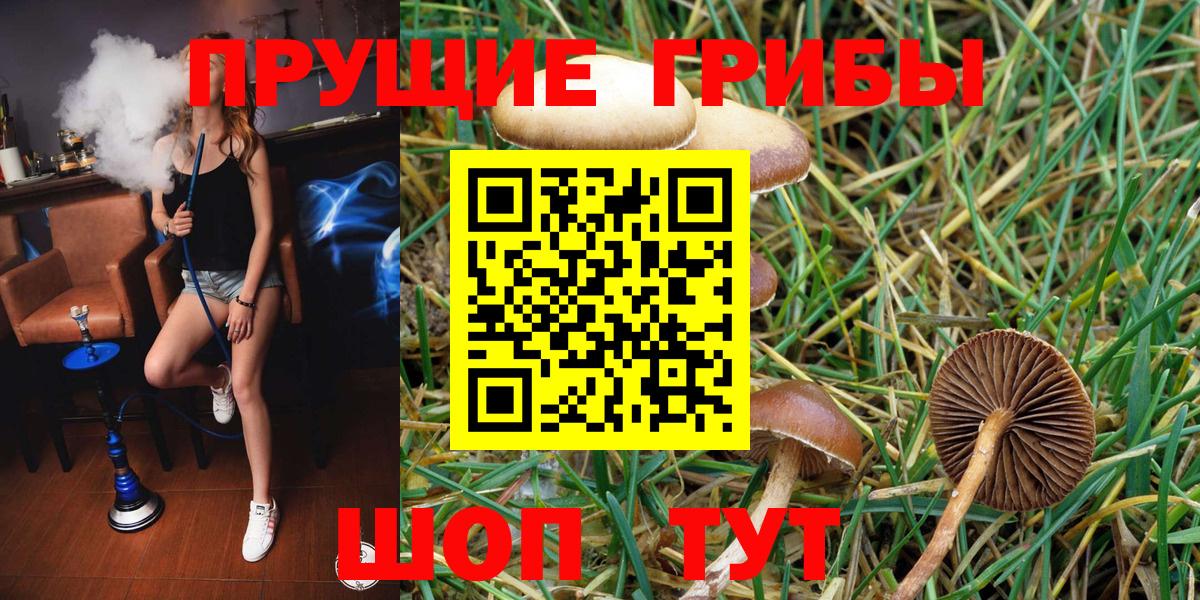 Галлюциногенные грибы Magic Shrooms  Галлюциногенные грибы Cubensis  Вход с VPN  Соликамск 